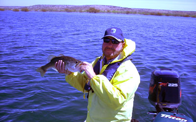 <p>A nice largemouth taken on a Speed Craw from Lake Guerrero, Mexico</p>