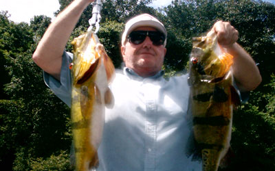 <p>This pair of peacock bass were taken on a surface lure in Rio Negro, Brazil</p>